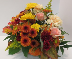 Autumn Joy from Lesher's Flowers, local St. Louis Florist since 1973