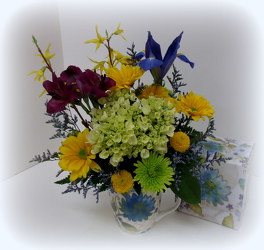 Aqua Expression from Lesher's Flowers, local St. Louis Florist since 1973