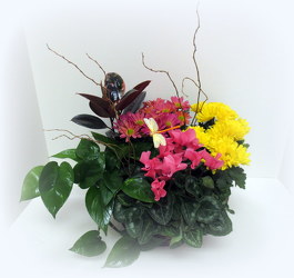 Blooming Basket from Lesher's Flowers, local St. Louis Florist since 1973