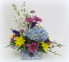 Spring Beauty from Lesher's Flowers, local St. Louis Florist since 1973