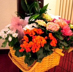 Blooming Basket
