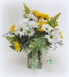 Upsy Daisy from Lesher's Flowers, local St. Louis Florist since 1973
