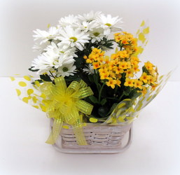 Hello Spring from Lesher's Flowers, local St. Louis Florist since 1973