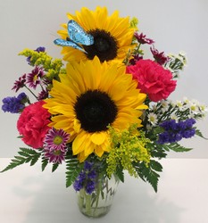 Butterfly Dream from Lesher's Flowers, local St. Louis Florist since 1973