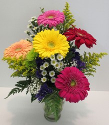 Splash of Color from Lesher's Flowers, local St. Louis Florist since 1973