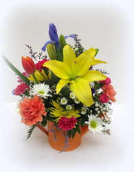 Just Add Water from Lesher's Flowers, local St. Louis Florist since 1973