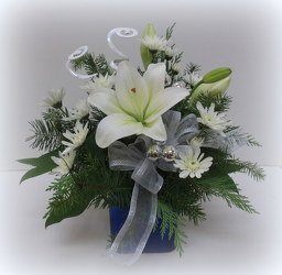 Sapphire Blue from Lesher's Flowers, local St. Louis Florist since 1973