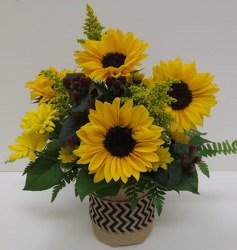 Sunny Sunflowers from Lesher's Flowers, local St. Louis Florist since 1973
