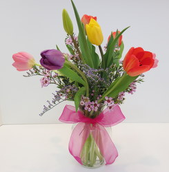 Tulip Assortment from Lesher's Flowers, local St. Louis Florist since 1973