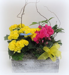 White Wash Planter