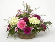 Hydrangea Happiness