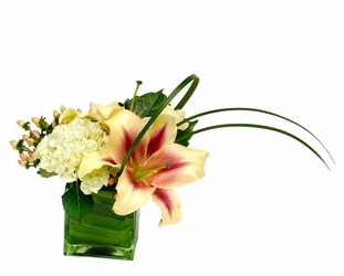 Asymmetric Beauty from Lesher's Flowers, local St. Louis Florist since 1973
