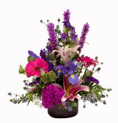 Purple Passion