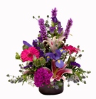 Purple Passion