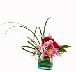 Stylish Lily from Lesher's Flowers, local St. Louis Florist since 1973