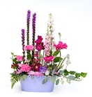 Spring Garden