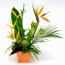 Tropical Fantasy from Lesher's Flowers, local St. Louis Florist since 1973