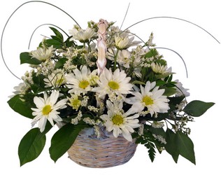 Daisy Cheer from Lesher's Flowers, local St. Louis Florist since 1973