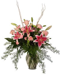 Gazers and Pink from Lesher's Flowers, local St. Louis Florist since 1973
