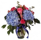 Spring Hydrangea