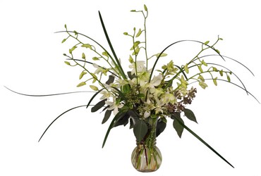 Elegant Orchids from Lesher's Flowers, local St. Louis Florist since 1973