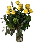 Yellow Beauties