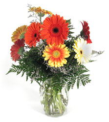 Splash Of Color Gerbera Vase