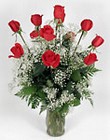 Red Beauties with Babies Breath