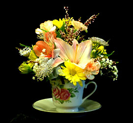 Teacup surprise