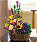 Basket of Glory