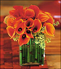 Bronze Callas
