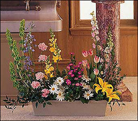 Springtime Splendor