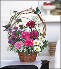 Birthday Butterflies