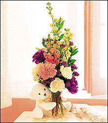Teleflora's New Baby Bear