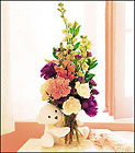 Teleflora's New Baby Bear