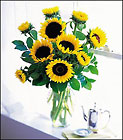 Shining Sunflowers
