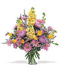 Yellow & Lavender Delight