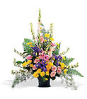 Lovely, Loving Tribute