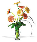 Grand Gerberas