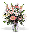New Baby Girl Arrangement