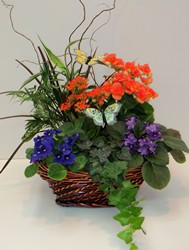 Enchanted Garden Basket