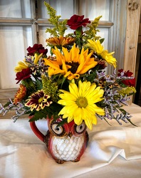 Give a Hoot from Lesher's Flowers, local St. Louis Florist since 1973