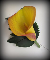 Safari Sunset Calla from Lesher's Flowers, local St. Louis Florist since 1973