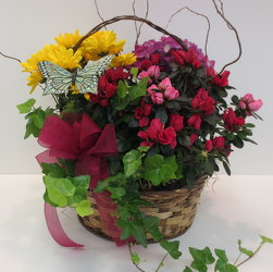 Secret Garden Basket from Lesher's Flowers, local St. Louis Florist since 1973