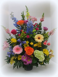 Ray of Light  from Lesher's Flowers, local St. Louis Florist since 1973