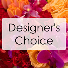 Designer's Choice Arrangement from Lesher's Flowers, local St. Louis Florist since 1973
