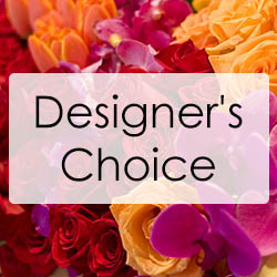 Designer's Choice Arrangement from Lesher's Flowers, local St. Louis Florist since 1973